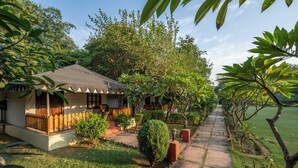 A bungalow-style house with a tiled roof, surrounded by lush greenery and a well-maintained lawn. - Jungle Cave Resort (Sawai Madhopur)