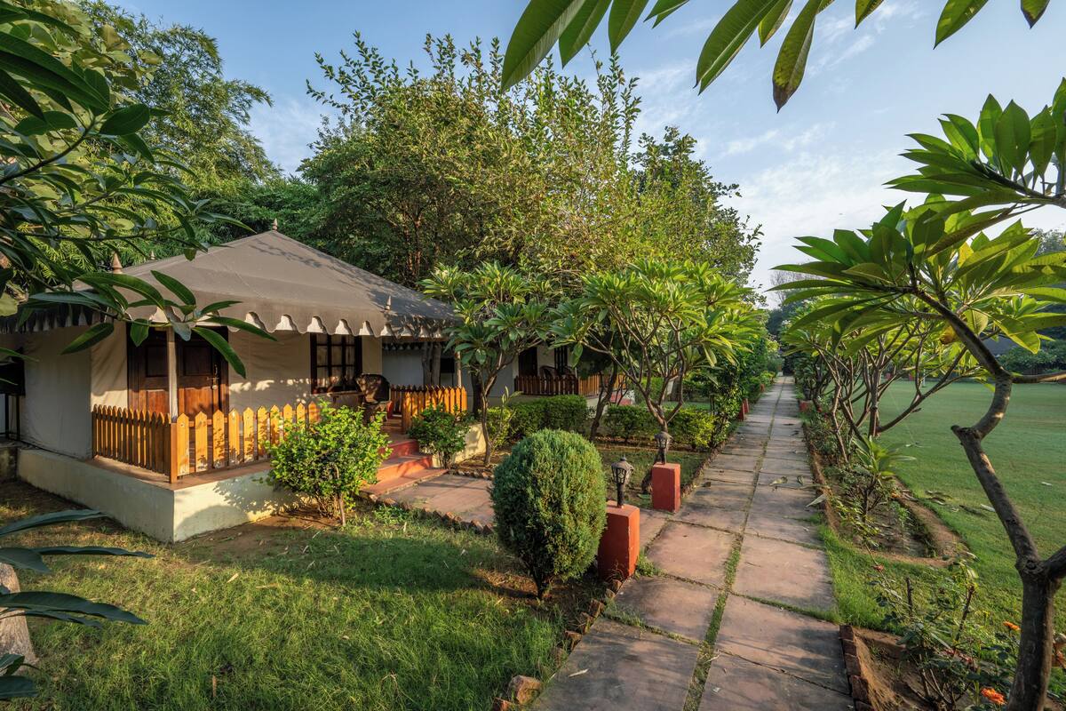 Una casa de estilo bungalow con techo de tejas, rodeada de exuberante follaje y un césped cuidado.