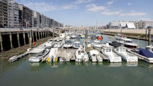 Ein Yachthafen mit vertäuten Booten, einer Brücke und Gebäuden im Hintergrund.