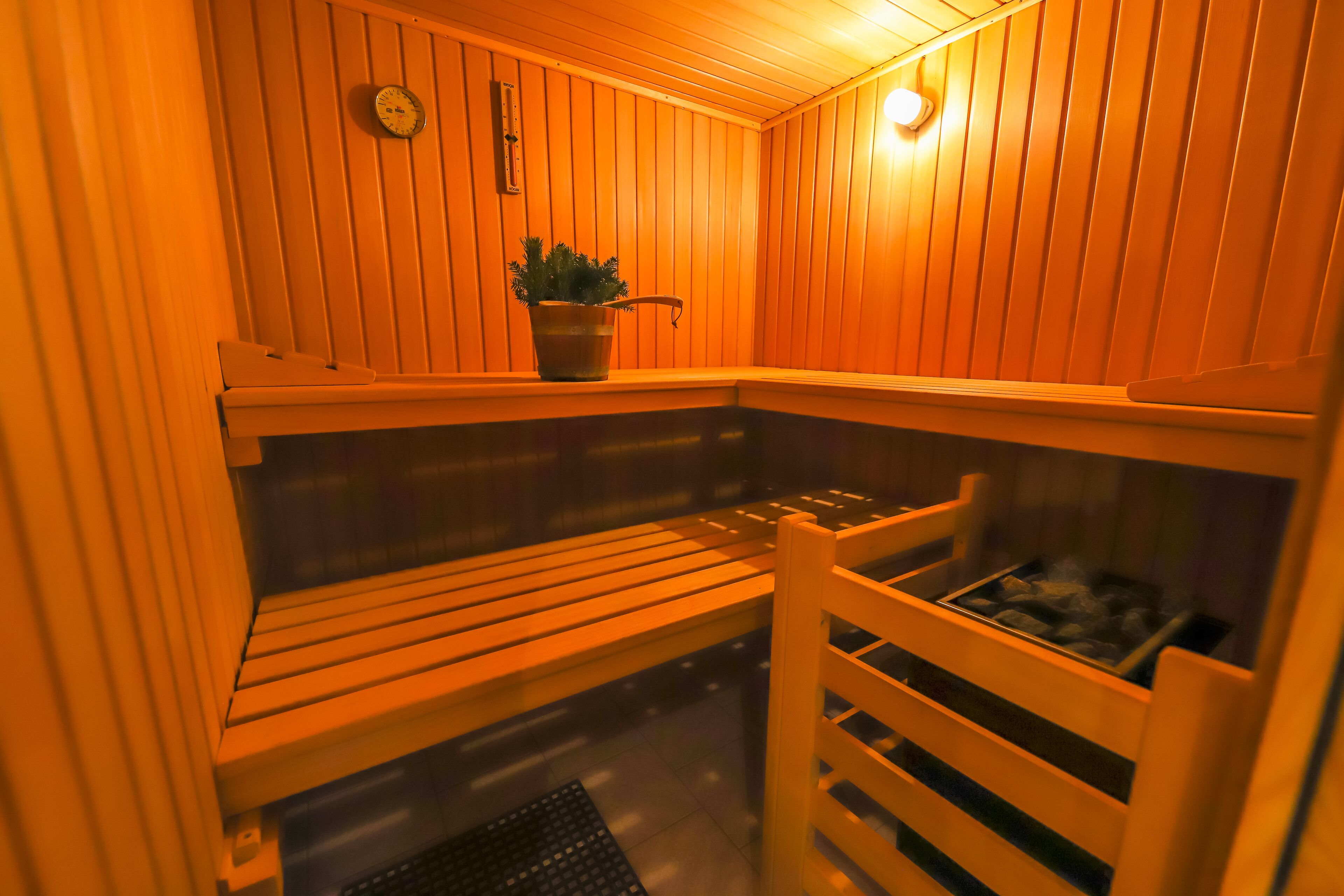 A sauna with wooden benches and a potted plant.