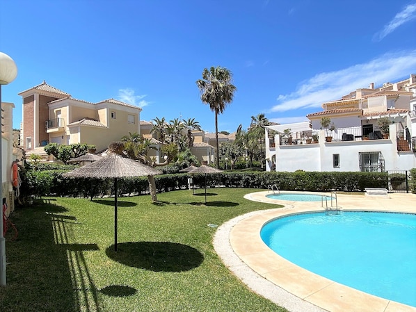 Relax by the inviting pool surrounded by lush lawns and palm trees.