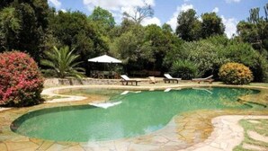 Una piscina con solárium de piedra, rodeada de exuberante vegetación y árboles.