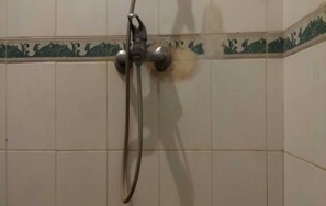 Habitación Deluxe doble | Baño | Ducha, cabezal de ducha tipo lluvia, jabón y champú