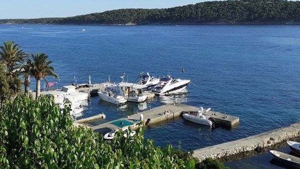 A marina with several boats docked, surrounded by greenery and a clear view of the water.