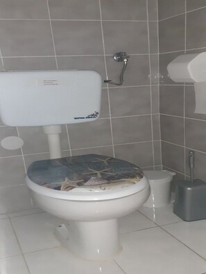 A toilet with a damaged seat, a visible toilet paper holder, and a bidet attachment.