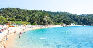 Playa en los alrededores 