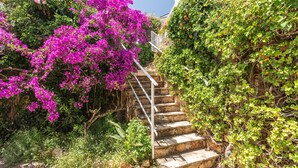 Una escalera de piedra rodeada de abundante follaje y vibrantes flores de buganvilla rosadas.