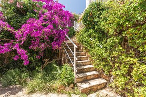 En stentrappe omgivet af frodigt grønt og blomstrende, pink bougainvillea.