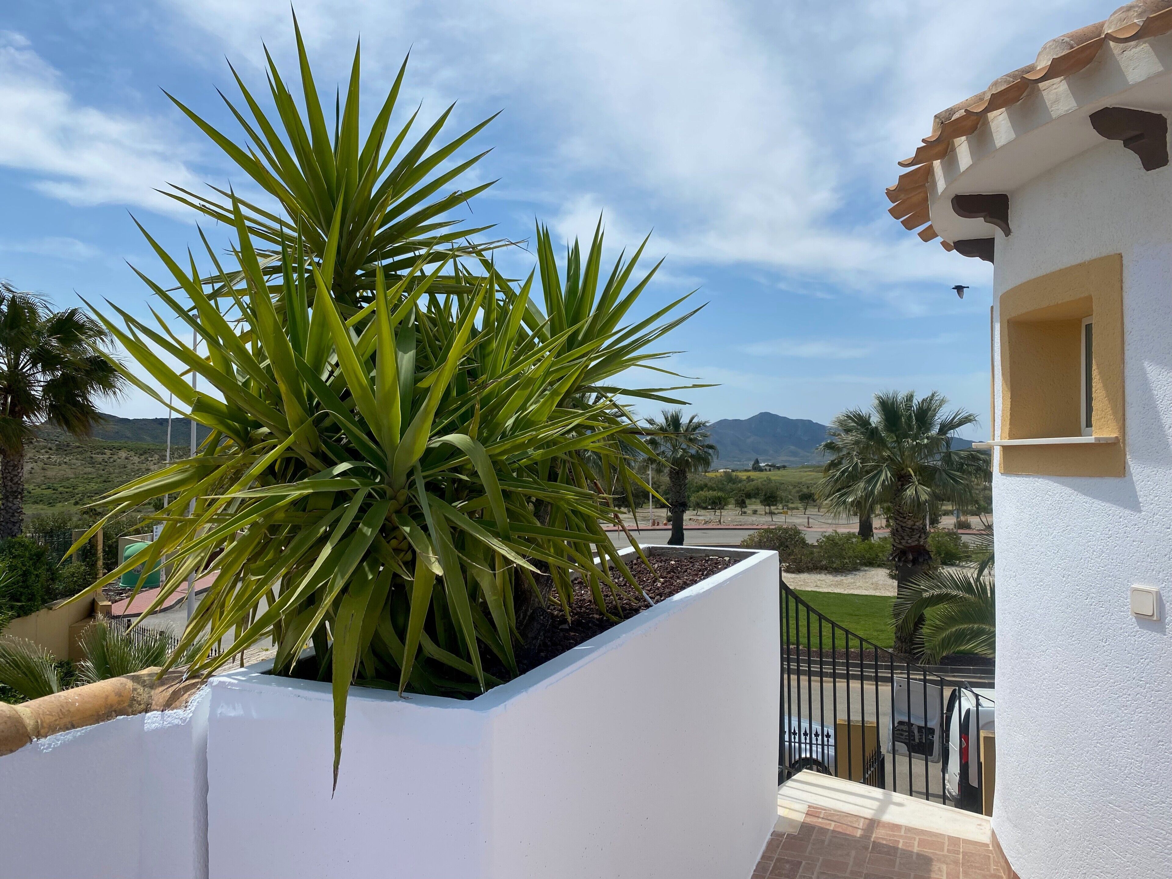 Un edificio blanco con balcón, una planta en maceta y vistas a un paisaje montañoso.