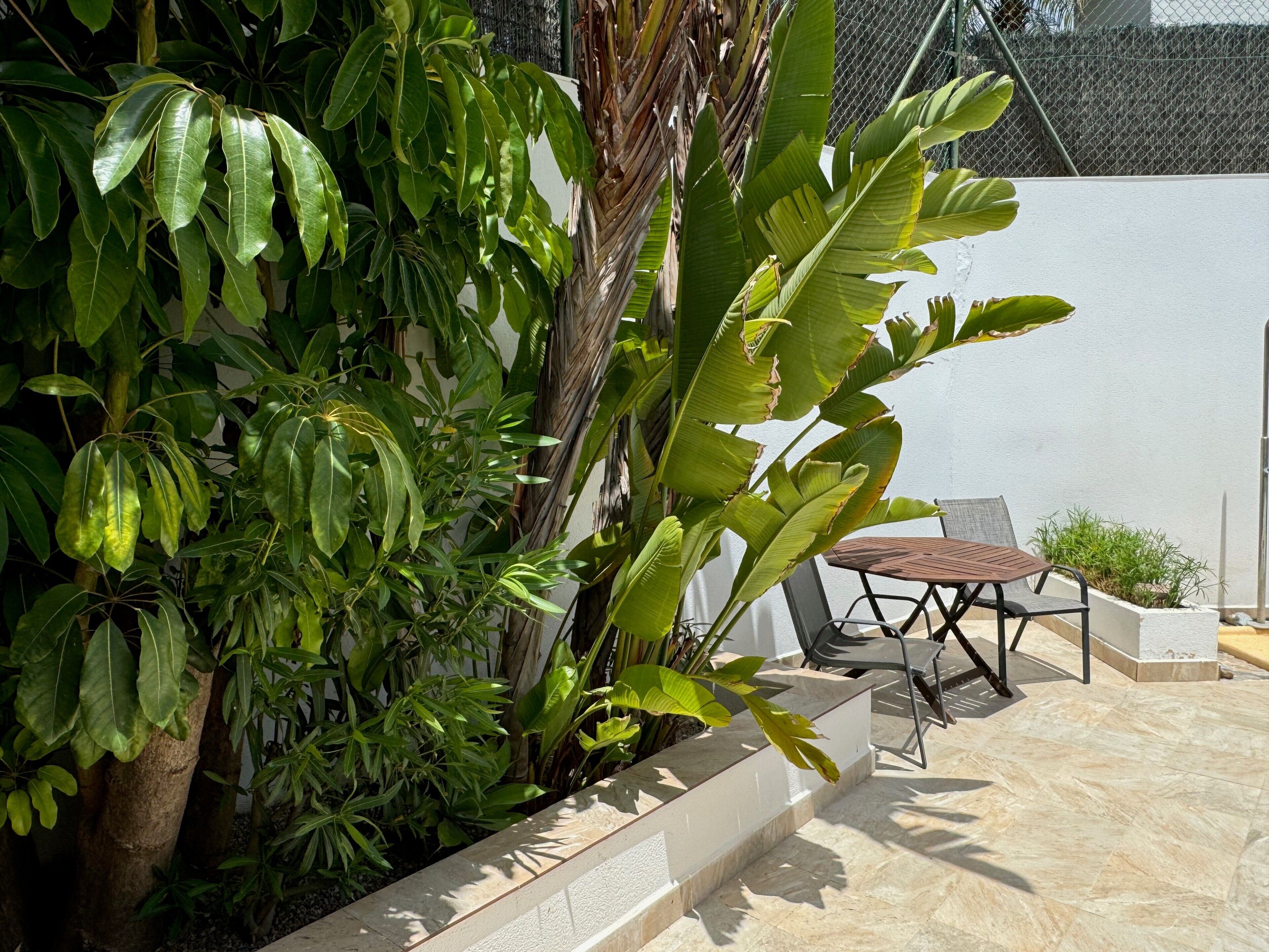 Un patio con mesa y sillas, rodeado de abundante vegetación y un muro blanco.