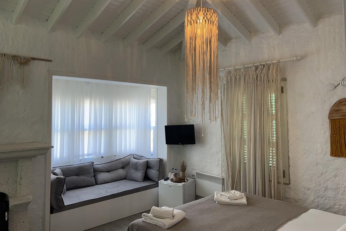 A bedroom with a bed, a sofa bed, a TV, and a fireplace.