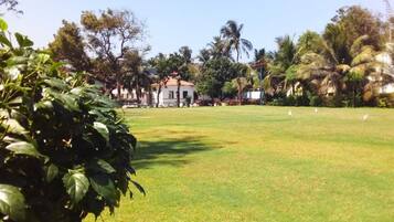 A well-maintained grassy area with palm trees and a building in the background.