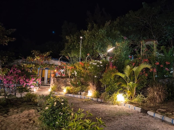 Garden view