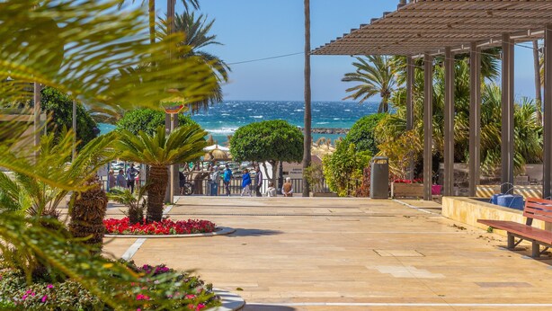 Une promenade en bord de mer agrémentée de palmiers, d’une pergola en bois et offrant une vue sur la mer.