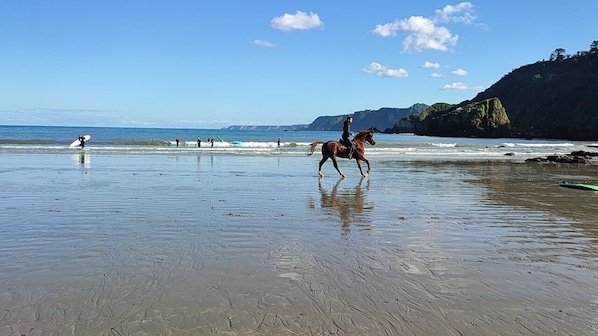 A beach with a horse and rider, a person with a surfboard, and a rocky coastline.
