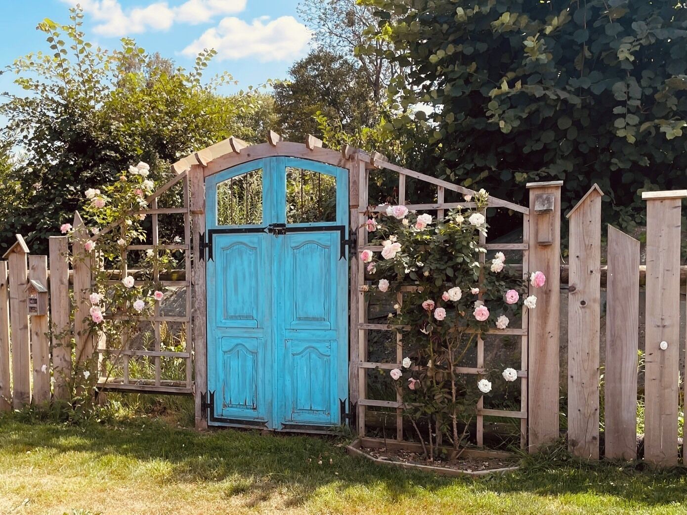 Une porte en bois peinte en bleu, encadrée par une clôture en bois et ornée de rosiers grimpants.