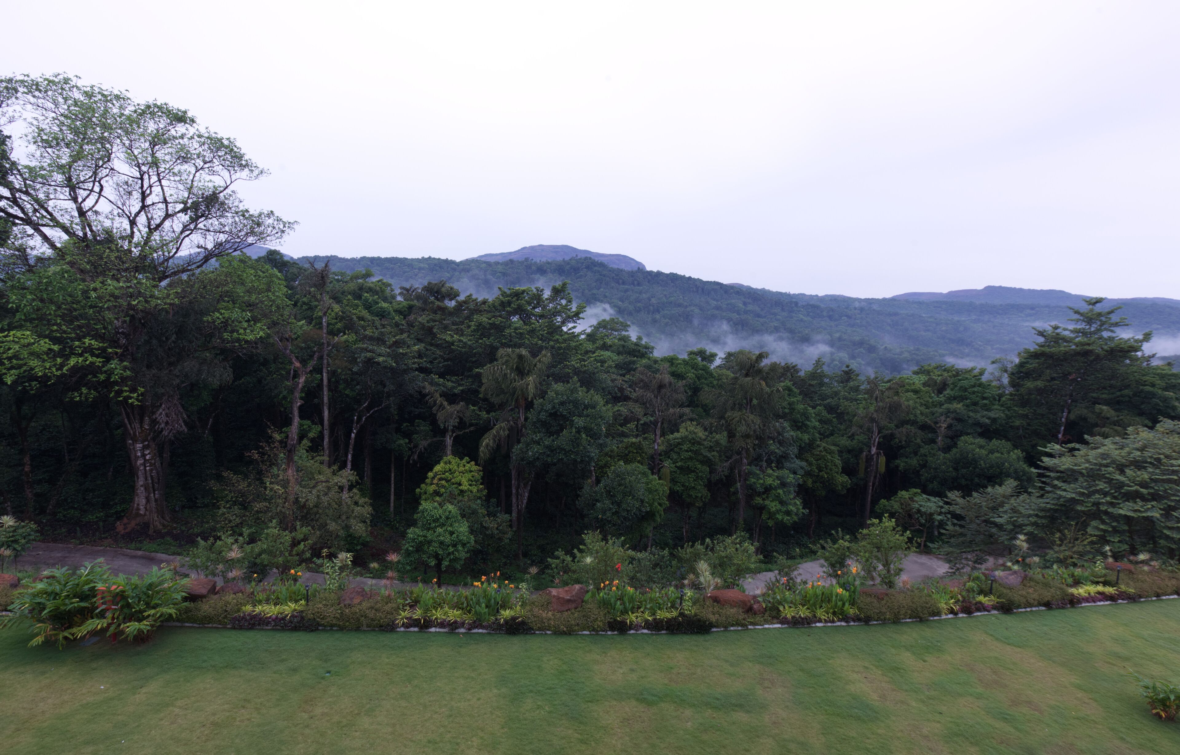 A lush garden with a variety of plants and trees, a well-maintained lawn, and a backdrop of mist-covered hills.