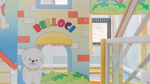 Gapyeong Belloci Firstige Partypoolvilla