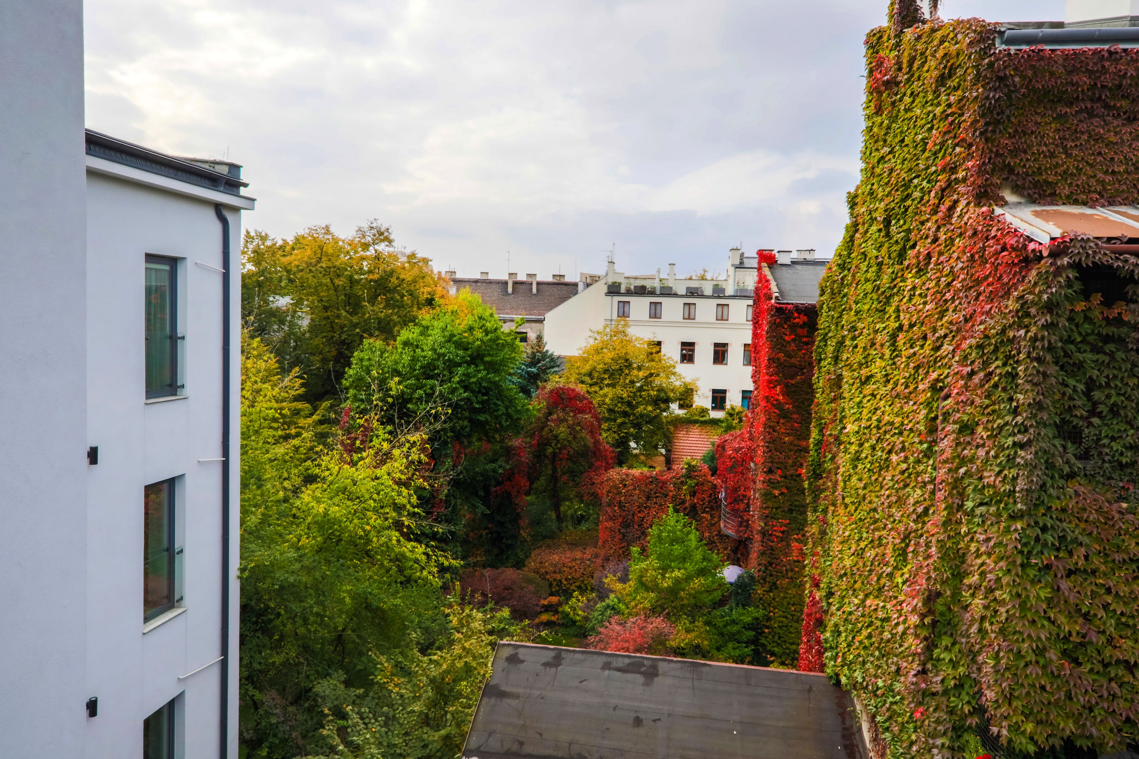 Photo - Aparthotel Cracovia Residence