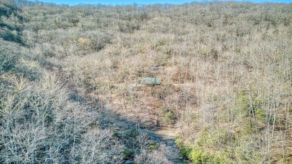 Une zone boisée avec un sentier de terre menant à une construction verdoyante.