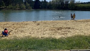Une plage de sable bordée d’un lac paisible, entourée d’arbres et sous un ciel dégagé.
