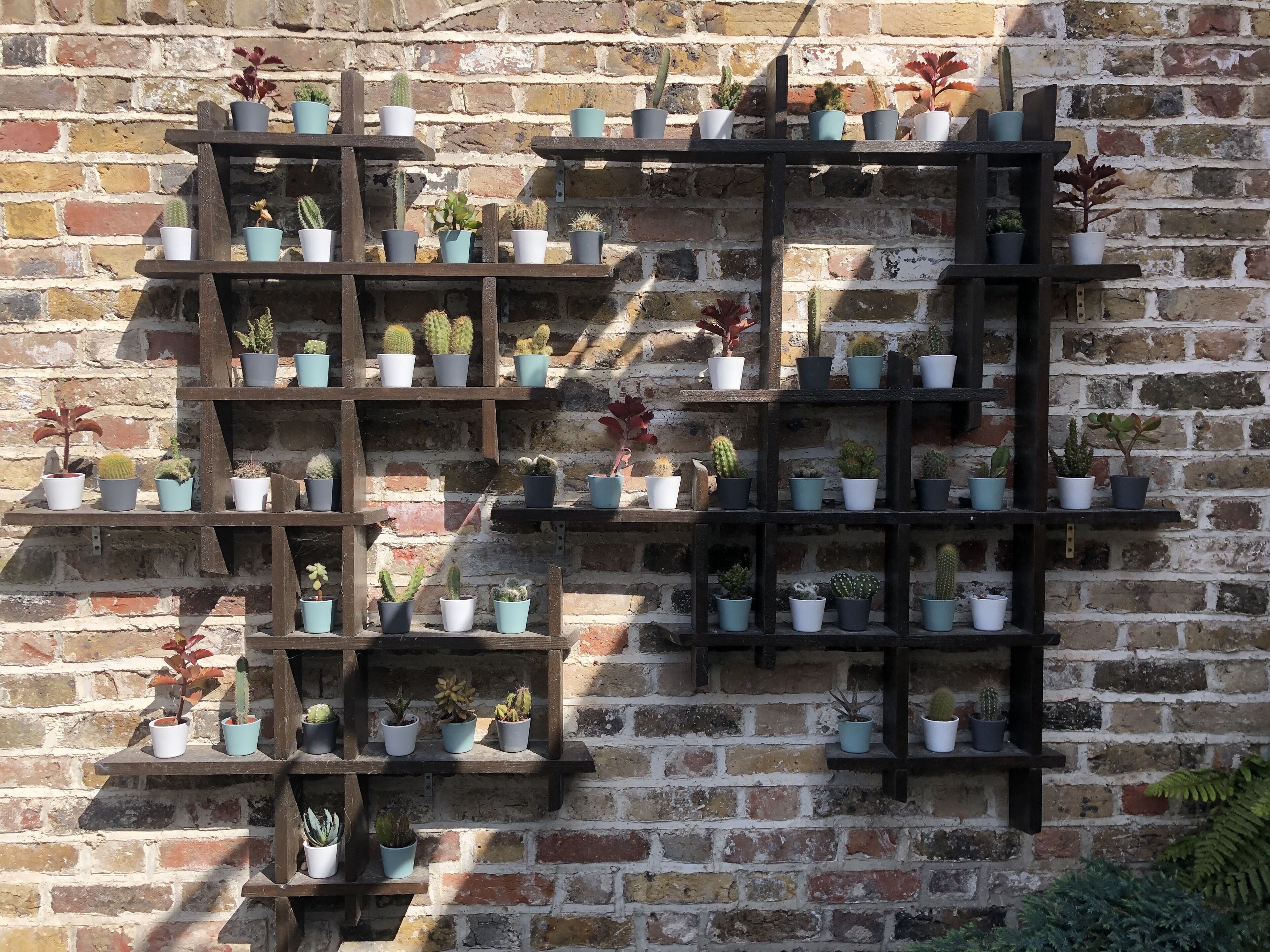Un mur de briques sur lequel est fixée une étagère en bois, servant de support à divers pots de plantes.