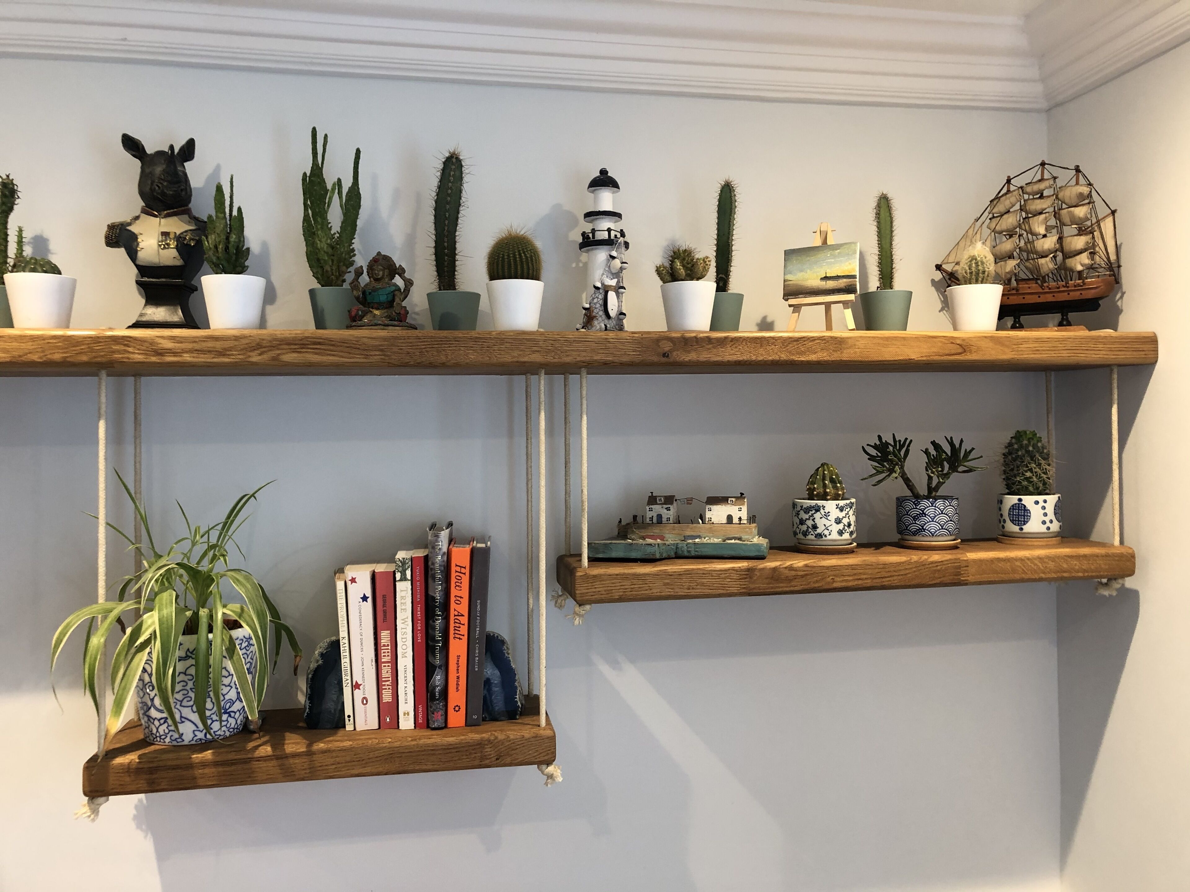 Two wooden shelves with various potted plants and a small model house.