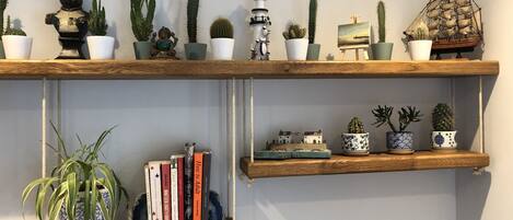 Two wooden shelves with various potted plants and a small model house.