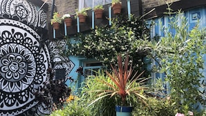 Un patio con un muro decorativo, plantas en macetas y una puerta azul.