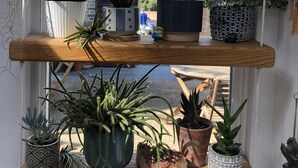 Una estantería de madera con varias plantas en macetas, entre ellas suculentas y cactus, dispuestas en tres niveles.
