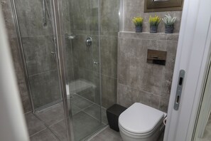 Regadera, secadora de cabello, toallas, jabón 