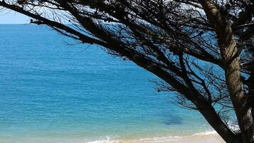 Accommodatie ligt op het strand