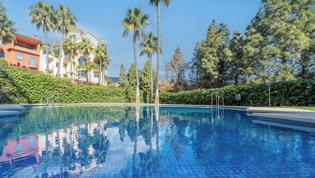 A clear blue pool with reflections of palm trees and buildings, surrounded by lush greenery and a well-maintained hedge.