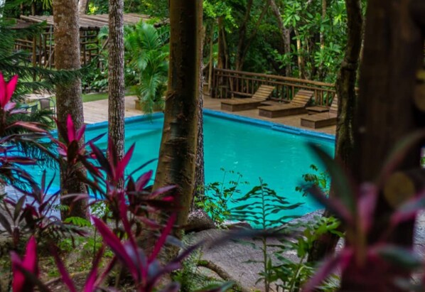 Pool - SIERRA LIMÓN - JATE CABIN (Magdalena)