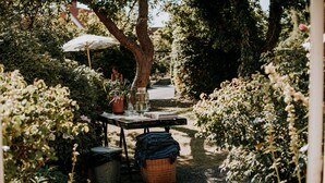 Un espace aménagé comme un jardin, avec une table, des plantes en pot et un panier.