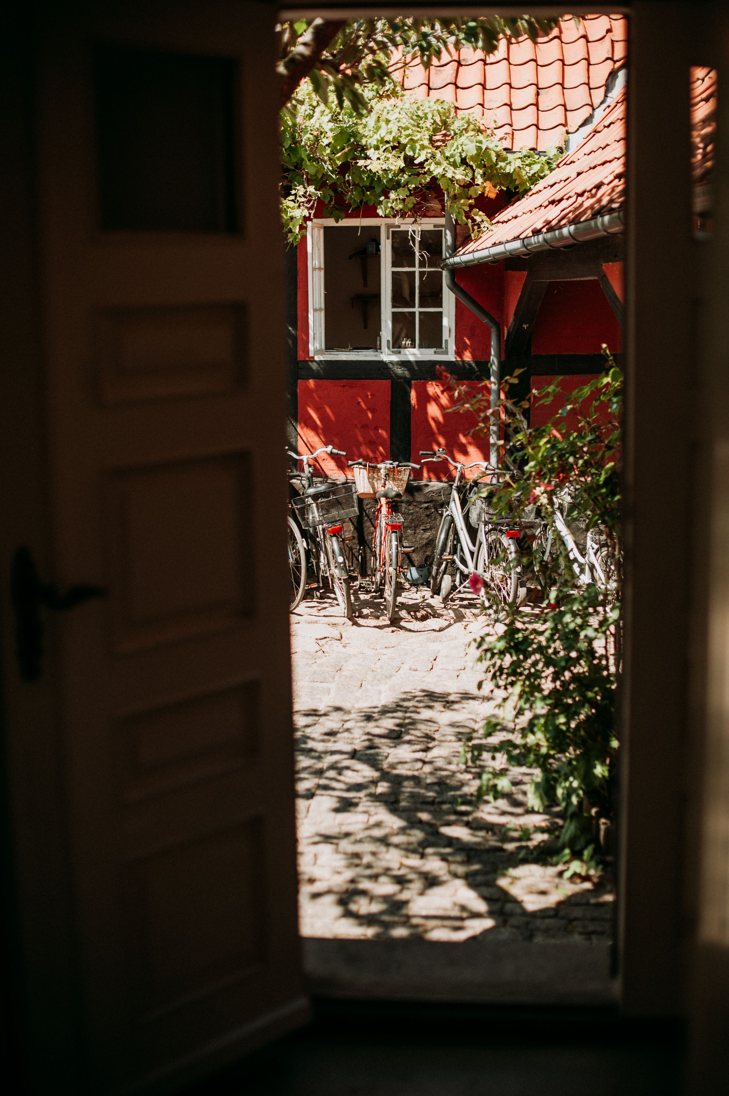 Habitación doble | Terraza o patio