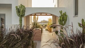 A pathway leading to a building with a cactus garden and a view of a dome structure in the distance. - Nysis Koufonisia (Naxos)