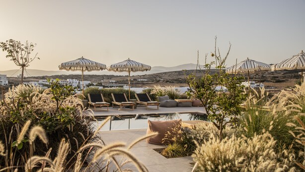 A poolside area with lounge chairs and umbrellas, surrounded by greenery. - Nysis Koufonisia (Naxos)