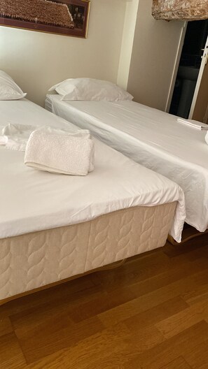 3 habitaciones, tabla de planchar con plancha y cuna de viaje 