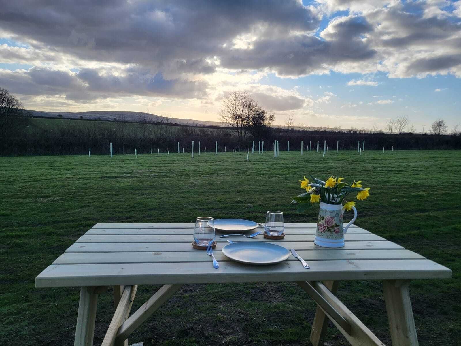 A picnic table set outdoors with plates, cutlery, and a vase of flowers.