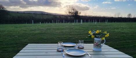 A picnic table set outdoors with plates, cutlery, and a vase of flowers.
