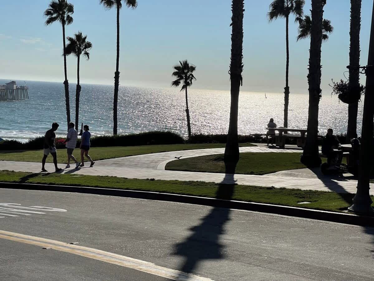 Une promenade en bord de mer bordée de palmiers, avec un banc et une vue sur l’océan.