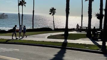 Une promenade en bord de mer bordée de palmiers, avec un banc et une vue sur l’océan.