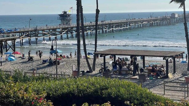 Una playa con muelle, palmeras y gente relajándose.