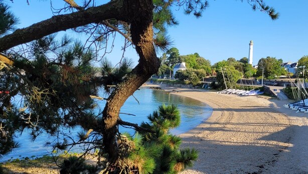 A beach with boats, a lighthouse, and a tree in the foreground. - Charming house located on the marina (Bénodet)