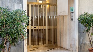 Una entrada con puerta elevadora de vidrio, una planta en maceta a la izquierda y otra a la derecha.