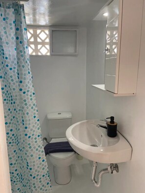 Douche, sèche-cheveux, serviettes fournies, savon