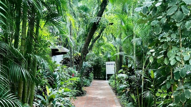 A brick pathway flanked by lush greenery and a signboard.