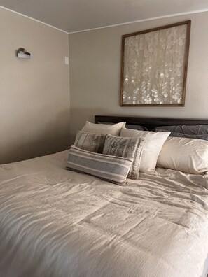1 bedroom, desk, iron/ironing board, internet