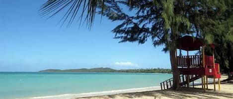Sun-loungers, beach towels